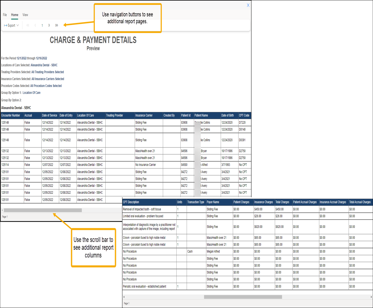 Charge and Payment Details example report with yellow callouts pointing to scroll bar and navigation buttons.